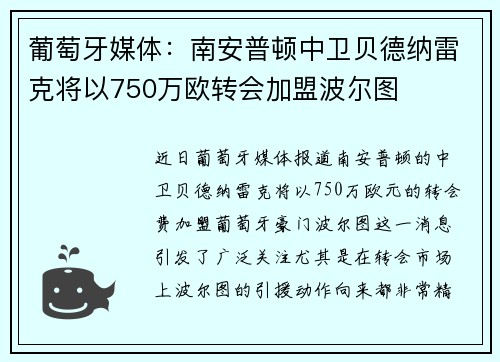 葡萄牙媒体：南安普顿中卫贝德纳雷克将以750万欧转会加盟波尔图